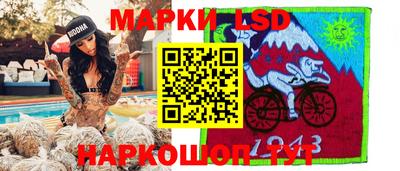 шишки Кимры