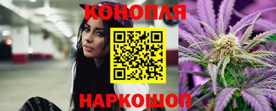шишки Кимры