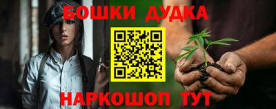 шишки Кимры