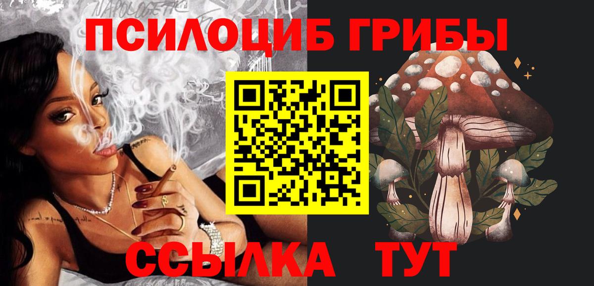 Псилоцибиновые грибы мицелий Карачаевск