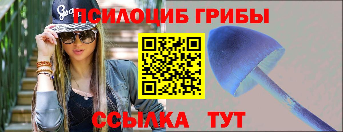 Карачаевск  Псилоцибиновые грибы Psilocybine cubensis  Вход с VPN 